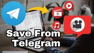How to Save Files, Messages, and Media from Telegram | Easy Tutorial