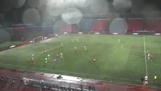 Голы 