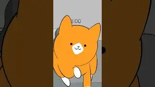 Giornata tipica del mio gatto.
