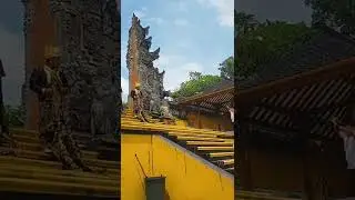 Prewedding Bali #shorts #shortvideo #shortsfeed #prewedding #fotografer #fotograferindonesia