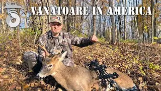 Vanatoare de whitetail cu arcul in America