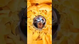 #shorts #приколы #joke #shortvideo