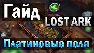 Гайд|Lost Ark|Платиновые поля в Лост Арк