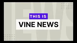 VICA News (EOT 2)