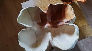 Завершение блюда из ольхи, лесной вояж и новый проект