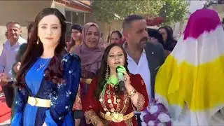 Hozan Menice - Sati Aşiret Düğünü Yüksekova | Şarkılarla Gelini Evden Çıkarma [ 2022 © ]