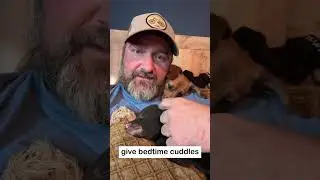 Bear Cub Highway Rescue 