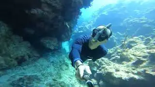 Corales freediving Roatán west bay