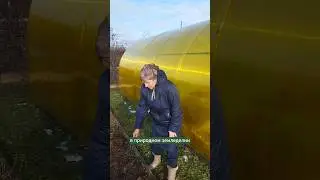Секреты природного земледелия. 
