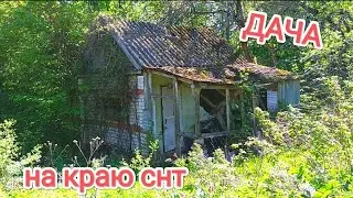 ДАЧА на краю СНТ😃 ПОЛУЧИТЕ😂 вот СПАСИБО🤗 Визуализация сработала! 😘
