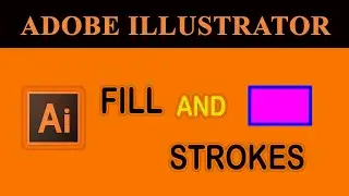 Fill and Strokes in Adobe Illustrator In Hindi/Urdu || By Sir Mubarik A.Raza