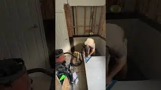 10 ноября 2024 г.