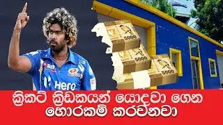 ක්‍රිකට් ක්‍රිඩකයින් හිඟමනට යොදවලා