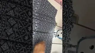 #shorts