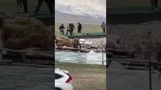Медведь гоняет людей