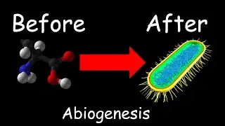 The Start of Life | Abiogenesis