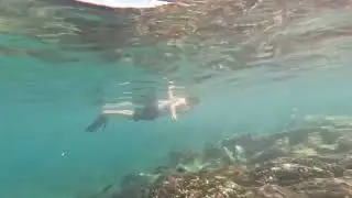 Snorkeling at Santa Maria Beach in Cabo San Lucas December 2023