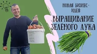 ВЫРАЩИВАНИЕ ЗЕЛЁНОГО ЛУКА - БИЗНЕС, КОТОРЫЙ ПРИНЕСЁТ МНЕ МИЛЛИОНЫ!