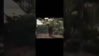 los que mencione y la descripción en la vida real PARTE 2