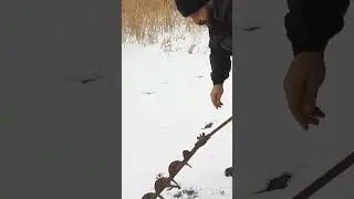 Не сверлит #shorts #tiktok #рыбалка #memes