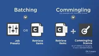 Batching and Commingling in PReS™ Connect