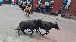 PAMPLONADA EN EL RIMAC.
