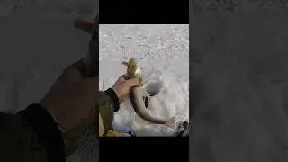 Судак берëт в пол воды! Очередной субботний выезд рыбалки на Судака #судакнавибы #судакзимой #судак