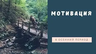 Мотивация // YT