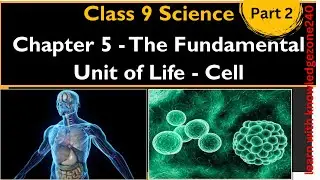 Fundamental unit of life | class 9 | part 2