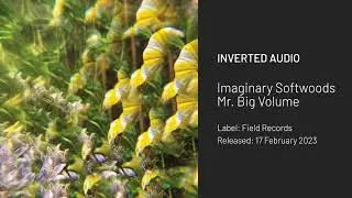Imaginary Softwoods - Mr. Big Volume [Field Records]