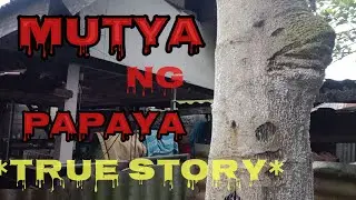 MUTYA NG PAPAYA *TRUE STORY* AGIMAT