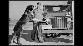 1st Week May   Bloodhounds 1959