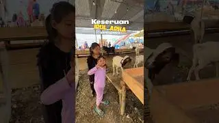 Keseruan si bocil 
