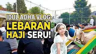 Kemeriahan Lebaran Idul Adha: Momen Tak Terlupakan! 🎉🐏