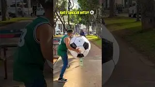 Last Dog is LEGEND! 🤯 Rate Viral Ball Hits! ⚽️ 