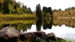 Haust