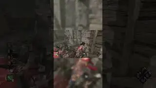 ESCAPING WESKER 