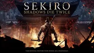 Когда дадут класс-то выбрать, за мага хочу играть. Sekiro