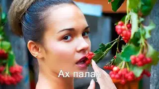 Анатолий Никитин – Ах, палан... Калина