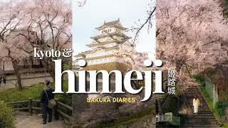 🌸 Spring in Himeji & Kyoto | Sakuras at Arashiyama, Himeji Castle, Nijo Castle | Cosy Japan Vlog