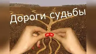 Ирина Шах 