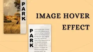 Image card hover effect pure css