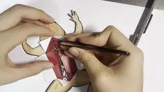 PA Frog Model Dissection