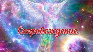 Открытое сопровождение для клиента. 1 встреча. 19.10.2023