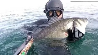 TAŞ ALTINDA VE MAĞRALARDA AGAŞON İLE LEVREK AVI