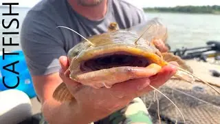 JUG FISHING for FLATHEAD CATFISH! CRAWFISH for BAIT!