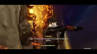 Found an online friend in Genshin Impact Private Server.
