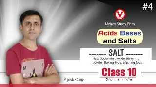 Salt | Common Salt Nacl - 04 | Acids Bases and Salts | Class 10  | V Shiksha