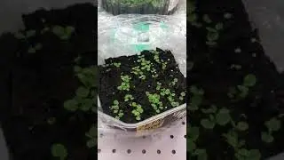 Результат