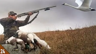 HUNT of a LIFETIME! Mixed Bag Duck LIMIT and My FIRST Swan! | Hunting a BIG Lake for Ducks and Swans
